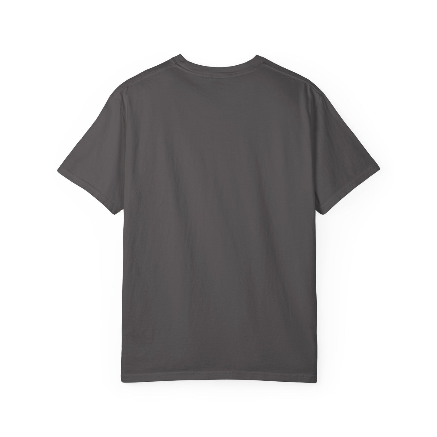 Unisex Diljit Dosanjh T-Shirt – Everyday Comfort with Superstar Style | Sizes S–4XL