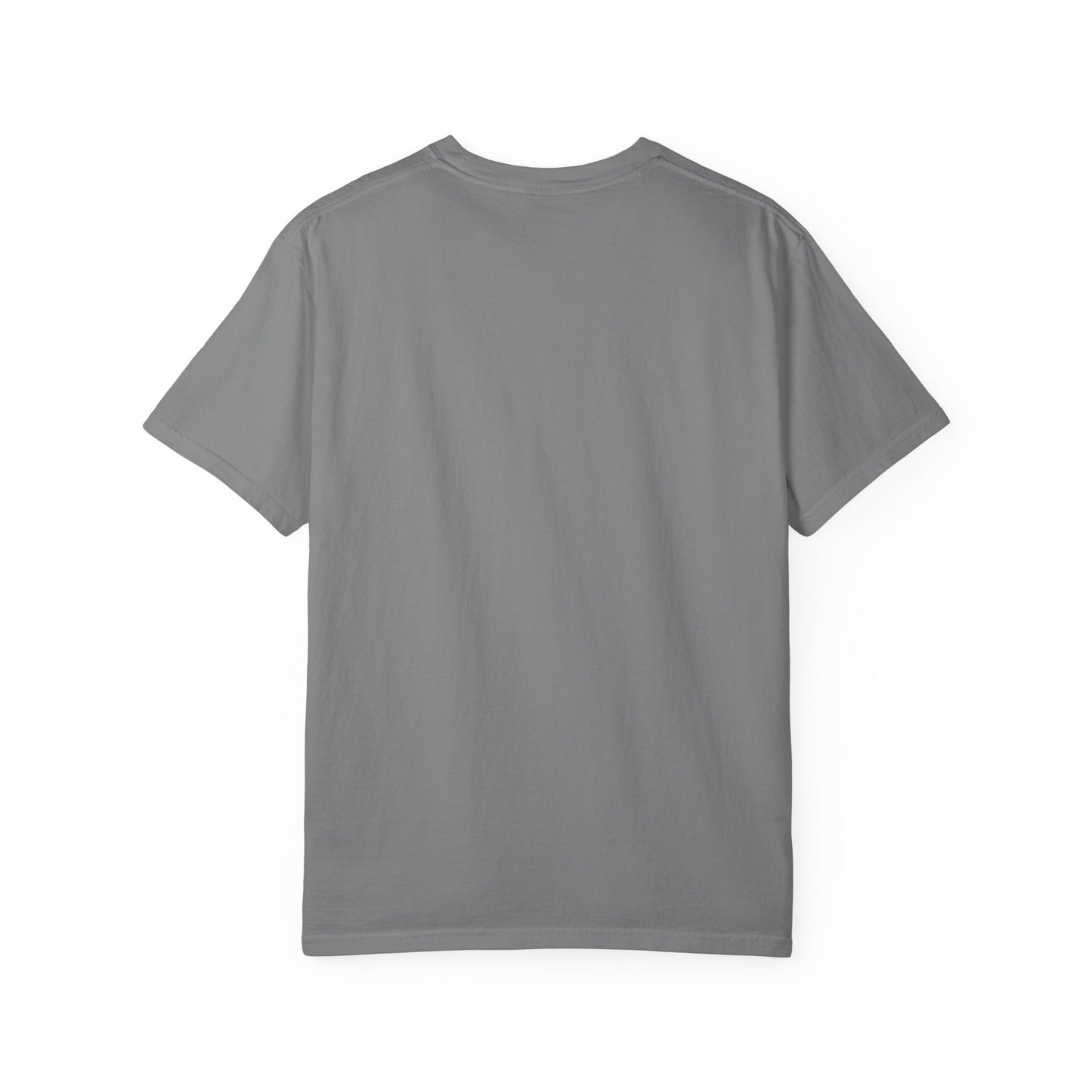 Unisex Diljit Dosanjh T-Shirt – Everyday Comfort with Superstar Style | Sizes S–4XL