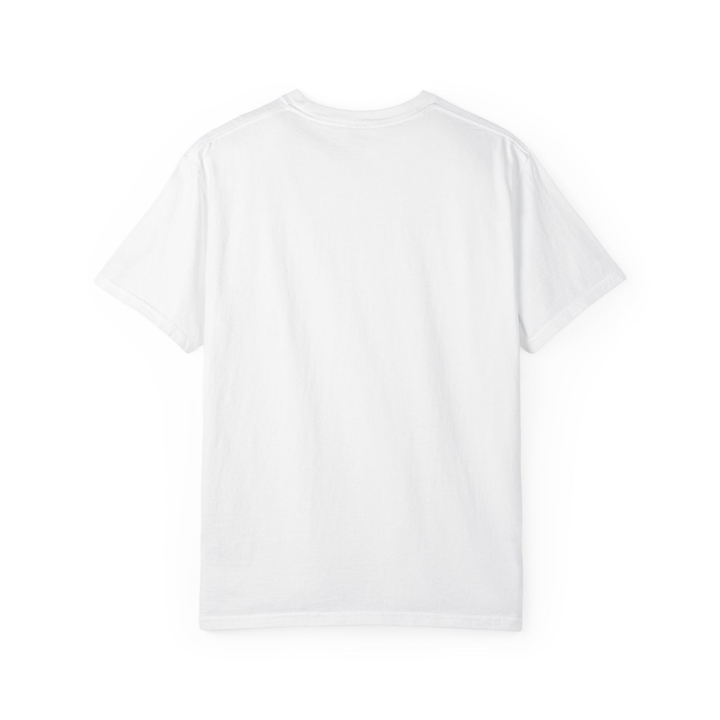 Unisex Diljit Dosanjh T-Shirt – Everyday Comfort with Superstar Style | Sizes S–4XL